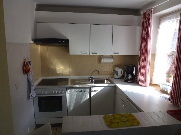 Kühe der Ferienwohnung Karina